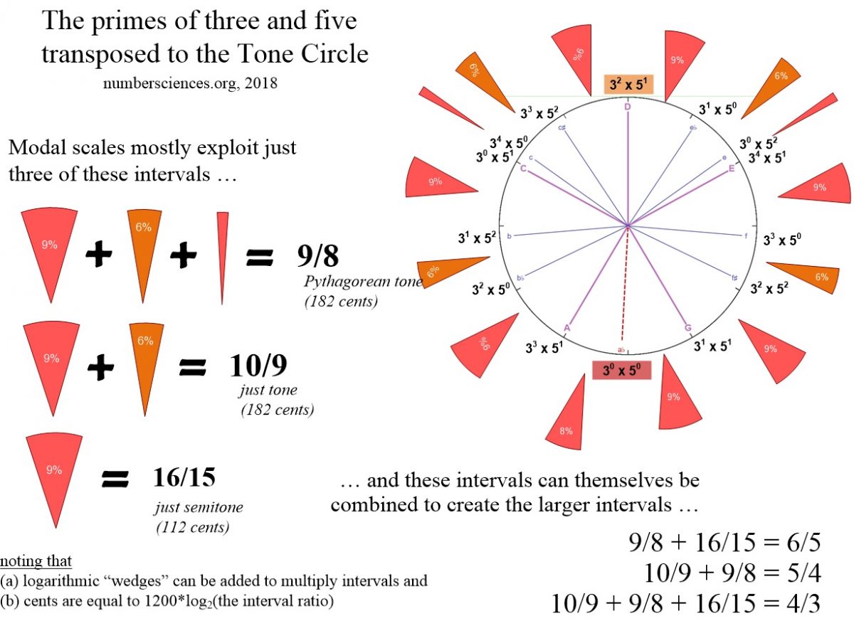 Distribution of Prime Numbers in the Tone Circle