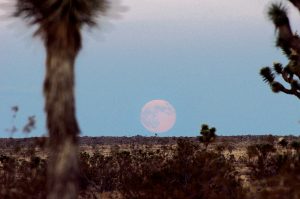 supermoon on horizon