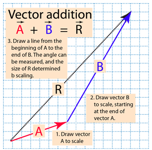 Vectors in Prehistory 2