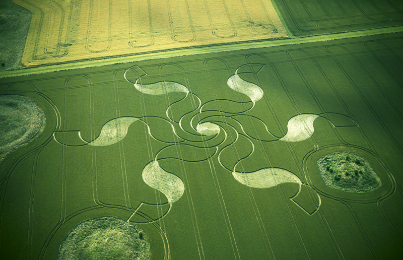 The Stonehenge Crop Circle of 2002