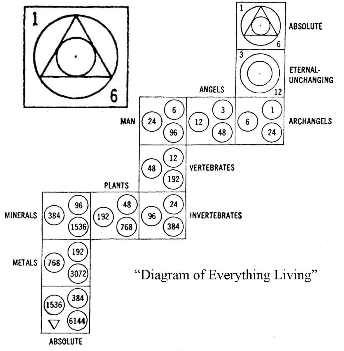 Numbers, Constants and Phenomenology